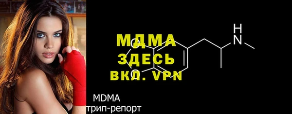 индика Бронницы